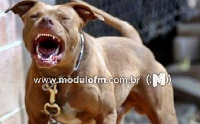Cachorro ataca e fere duas pessoas