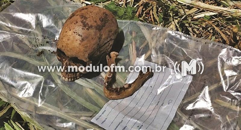 Ossada humana é encontrada às margens da MG-190 ...
