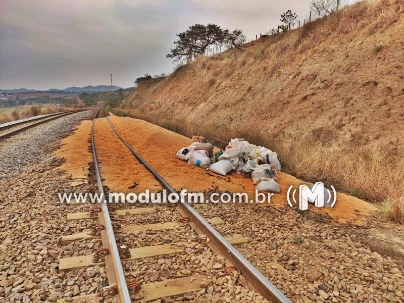 Carga de soja em vagões de trem é alvo...