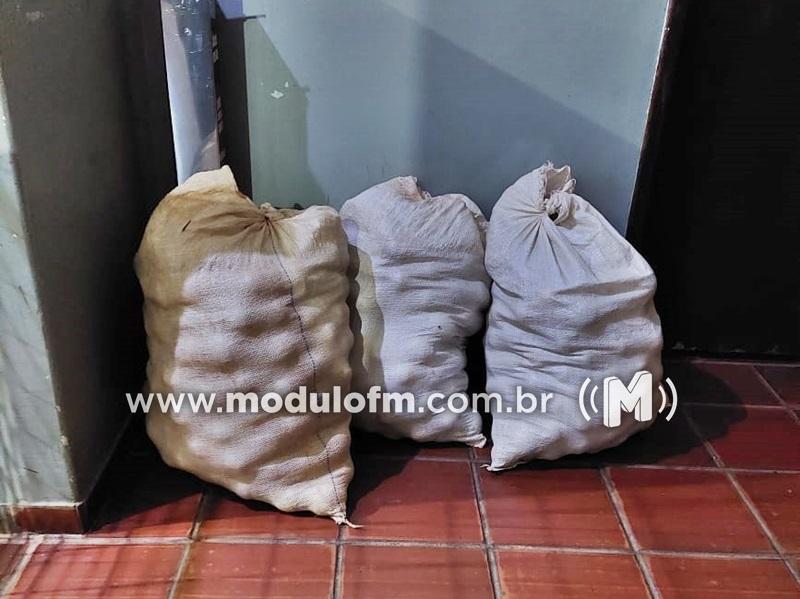 Foragido da justiça é preso após furtar sacos de laranja na região de Greenvile