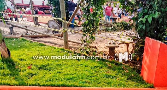 Imagem 2 do post Caminhão desgovernado atinge veículo, Praça e loja em Patrocínio
