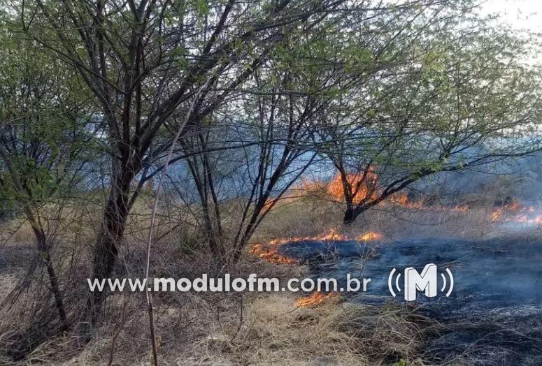 Incêndio em vegetação atinge veículo em Esmeril