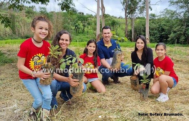 Rotary’s de Patrocínio realizam o plantio de mudas de...