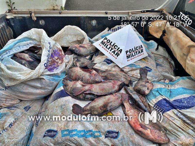 Homem é preso com mais de 300 kg de peixes na MGC-462