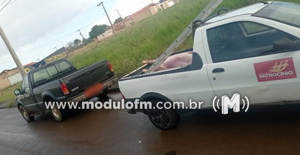 Após perseguição policial, suspeitos abandonam caminhonete carregada com carne suína transportada de forma irregular