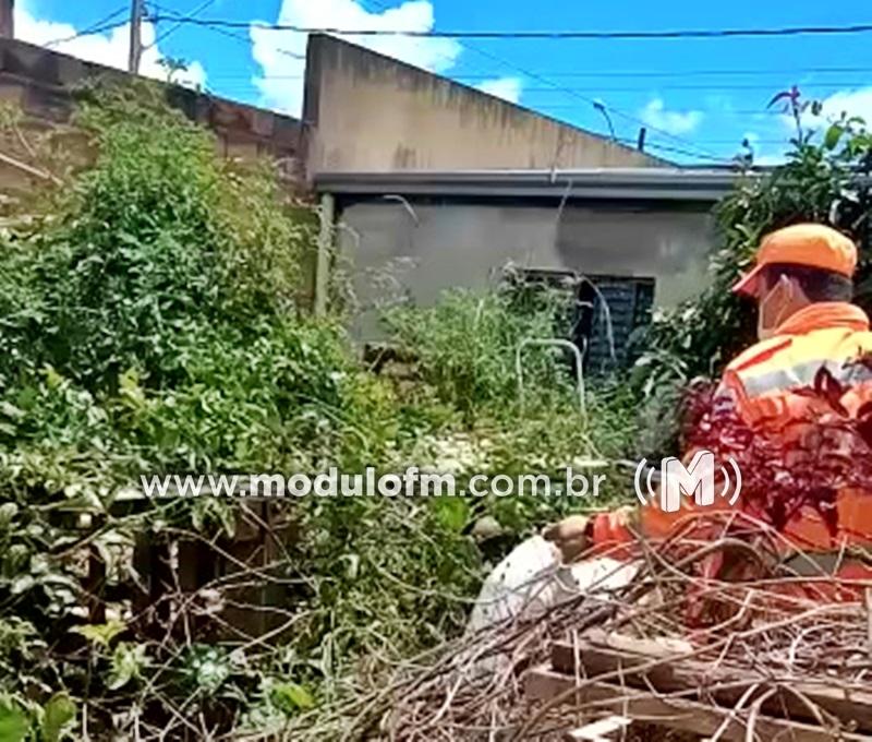 Corpo de Bombeiros captura jiboia