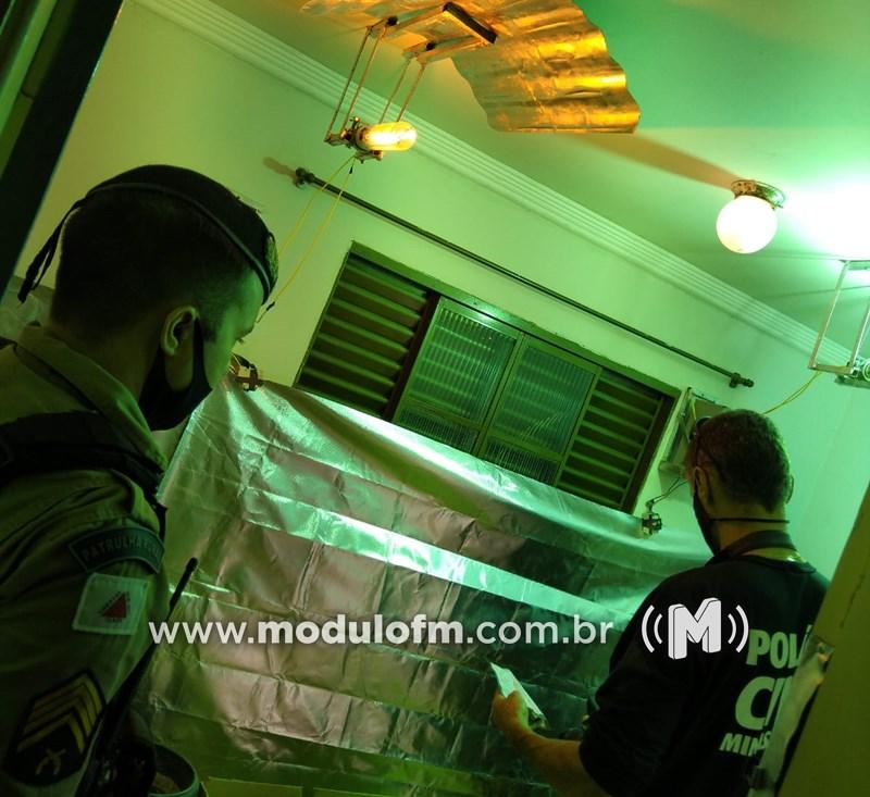 Imagem 2 do post PM flagra cultivo de maconha em estufa no bairro São Judas