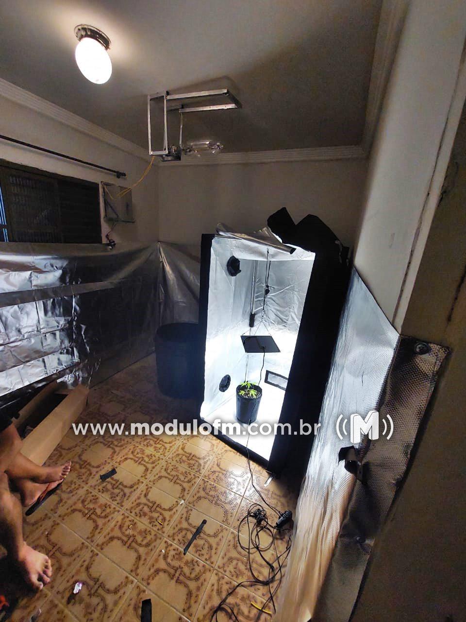 Imagem 1 do post PM flagra cultivo de maconha em estufa no bairro São Judas