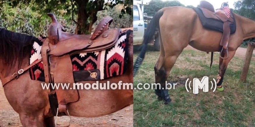 Imagem 1 do post Fazenda é arrombada e dono tem prejuízo de R$20 mil em Patrocínio