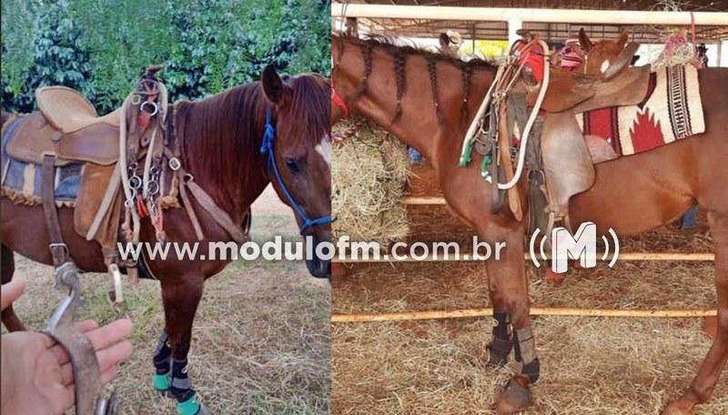 Fazenda é arrombada e dono tem prejuízo de R$20...