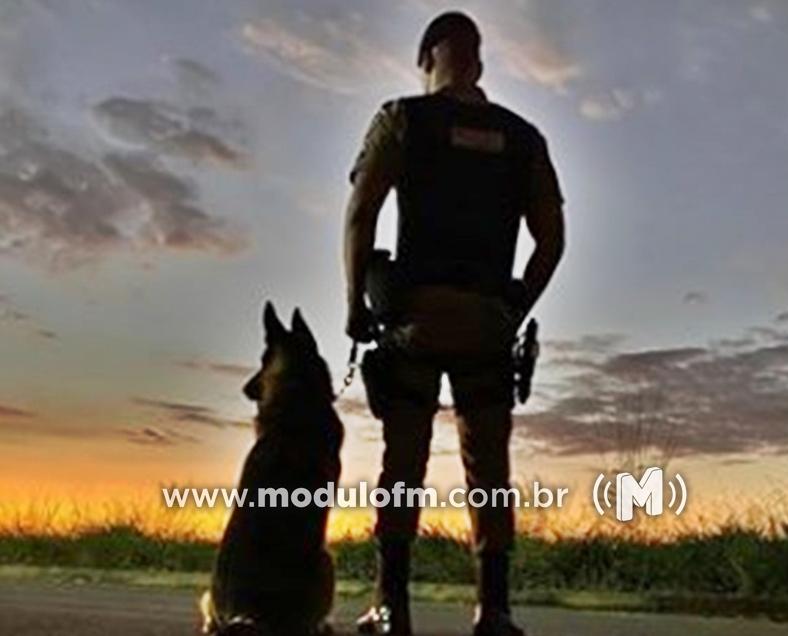 Com ajuda da cadela Pandora, PM encontra pedra bruta...