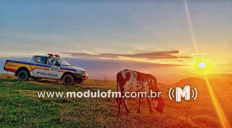 Fazenda é arrombada e tem televisão 50