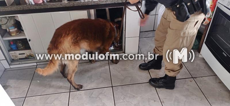 Imagem 1 do post PM deflagra operação de combate ao tráfico de drogas e prende 3 pessoas em Patrocínio