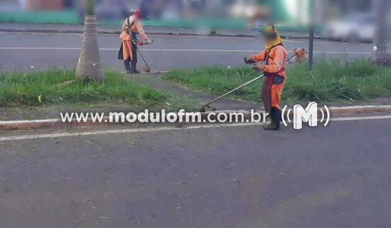 Poda de mato em avenida provoca estrago em dois...