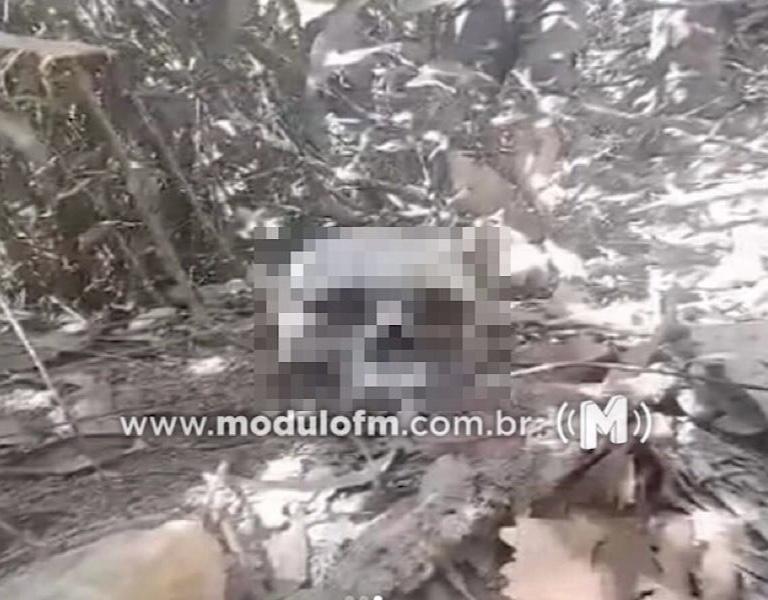 Crânio humano antigo é encontrado em área rural de...