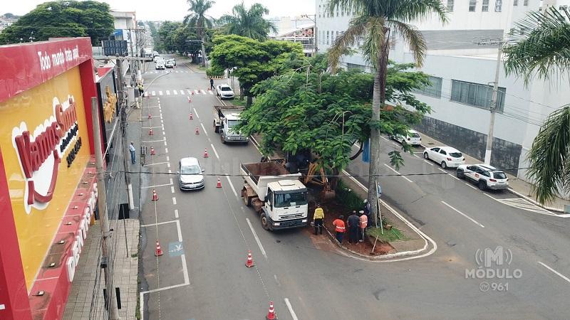 Trechos da Avenida Faria Pereira contarão com terceira faixa...