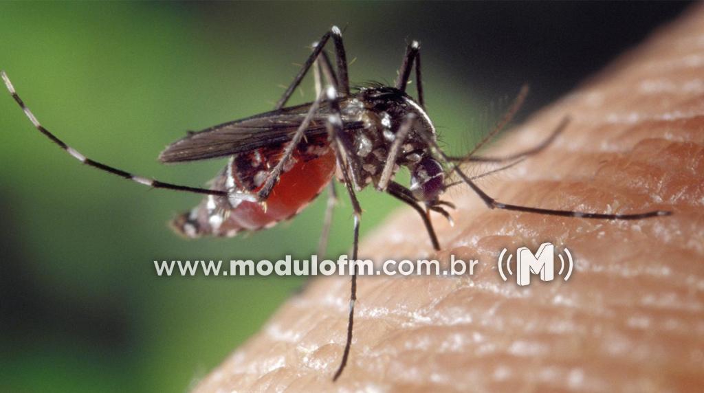 Patrocínio confirma 225 novos casos de Dengue em último...