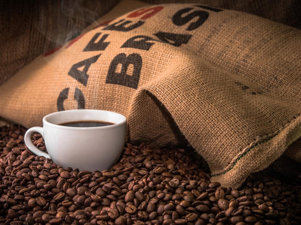 Conselho Nacional do Café se posiciona contra tarifas dos EUA sobre o café brasileiro