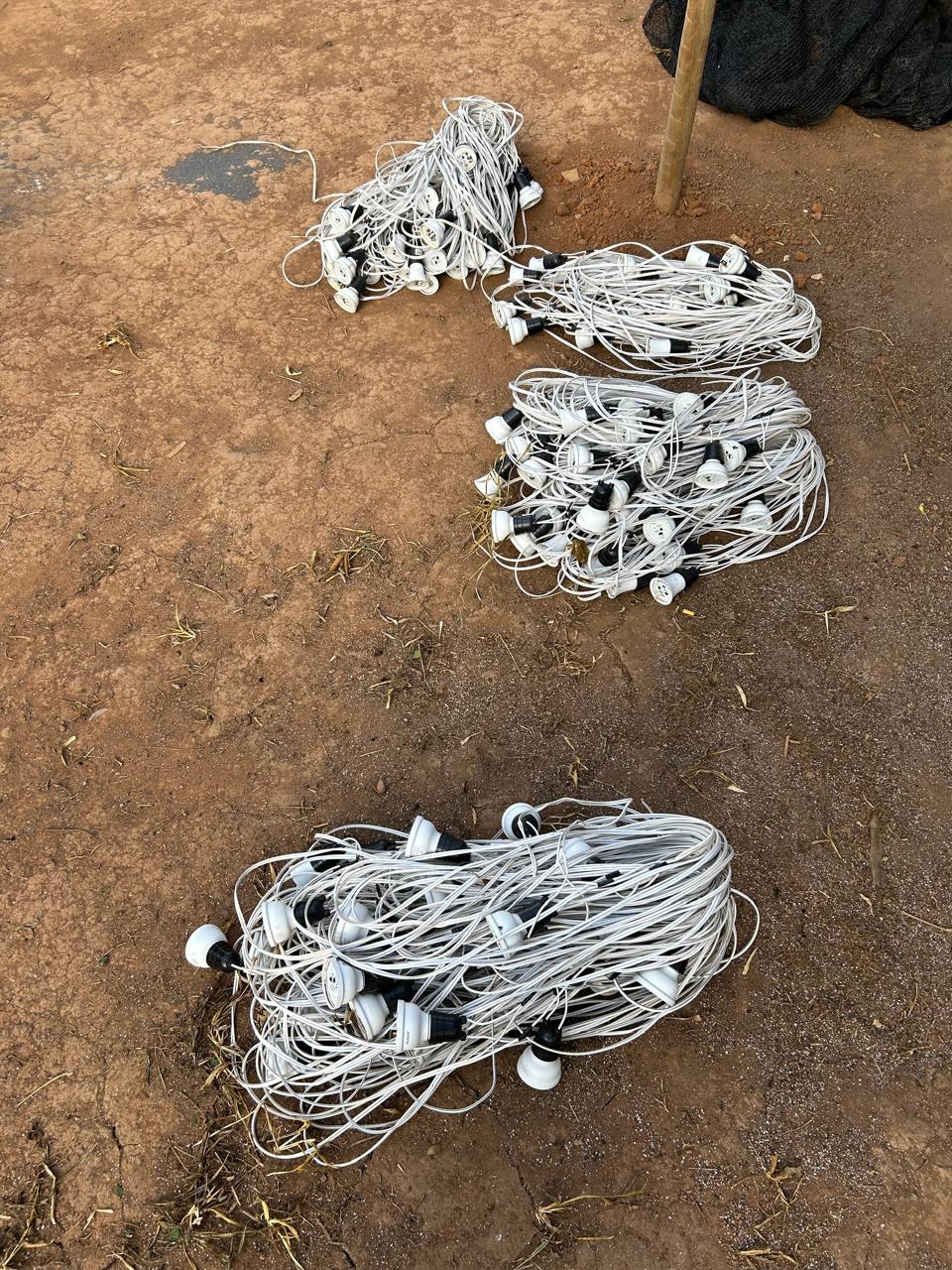 Imagem 2 do post PM descobre plantação com 6 mil pés de maconha em Patrocínio durante a Operação Mandrágora