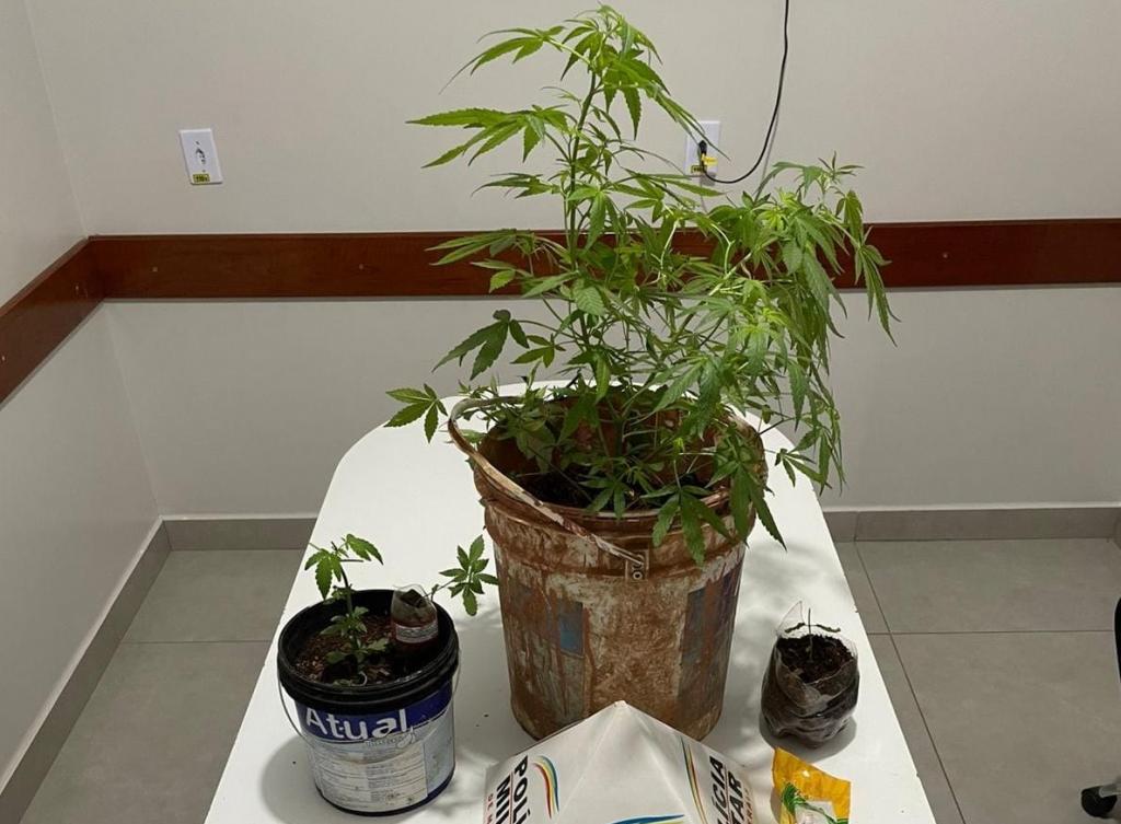 Traficante é preso e PM apreende grande quantidade de drogas em Serra do Salitre