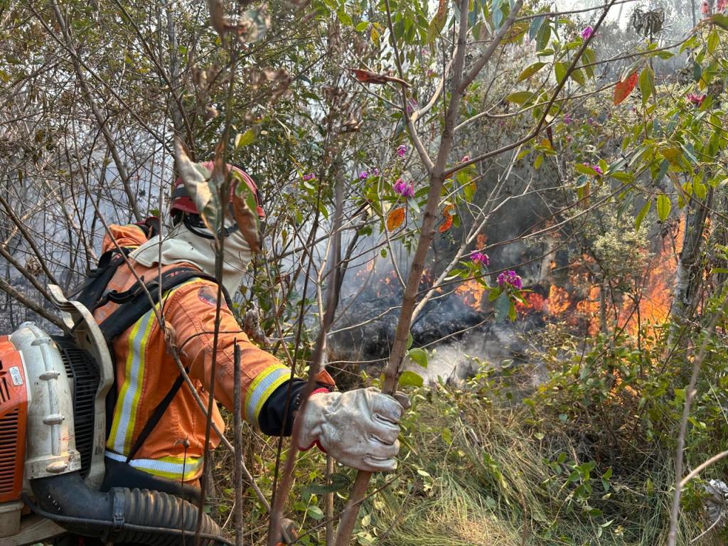 Em um só dia, bombeiros combatem dois incêndios às margens da BR-365 em Patrocínio