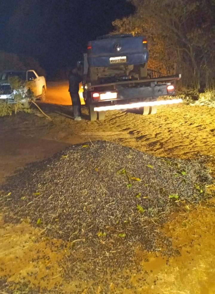 Imagem 2 do post Funcionário é preso suspeito de furtar carga de café em fazenda de Patrocínio