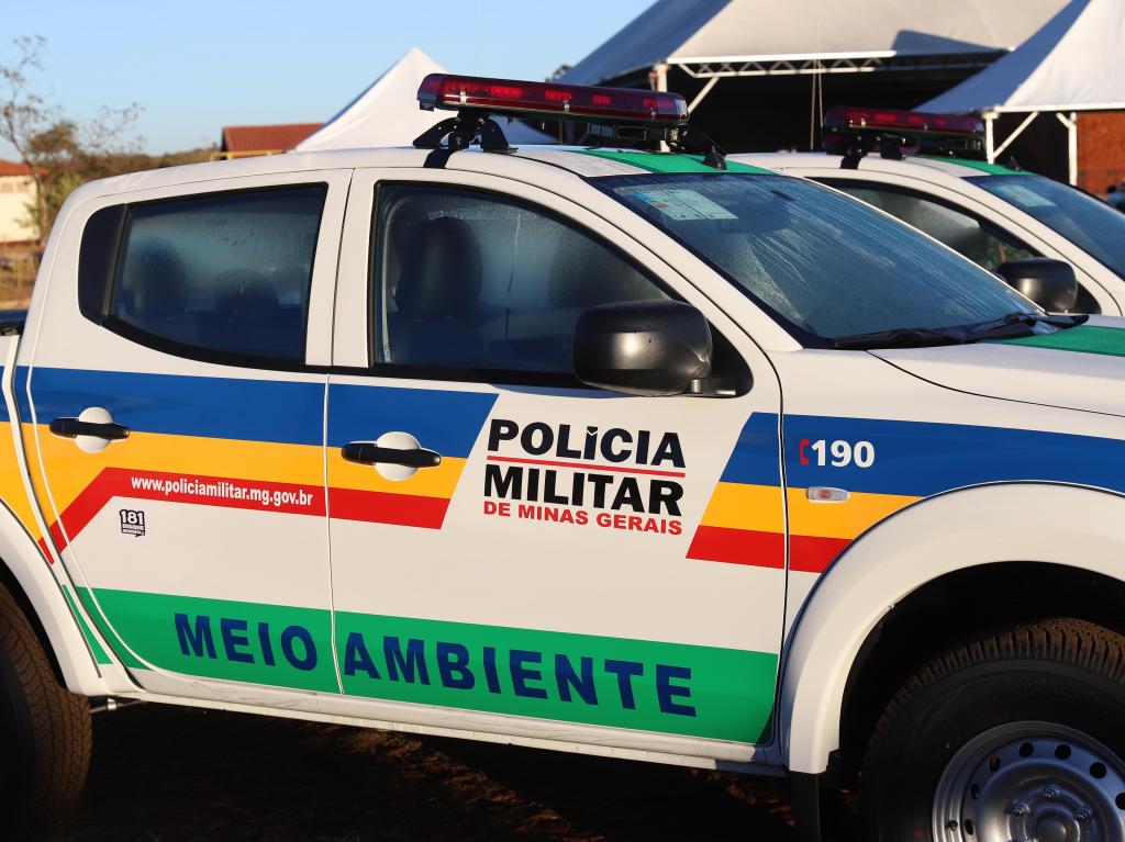 Operação em Coromandel apreende 83 pássaros e gera multa...