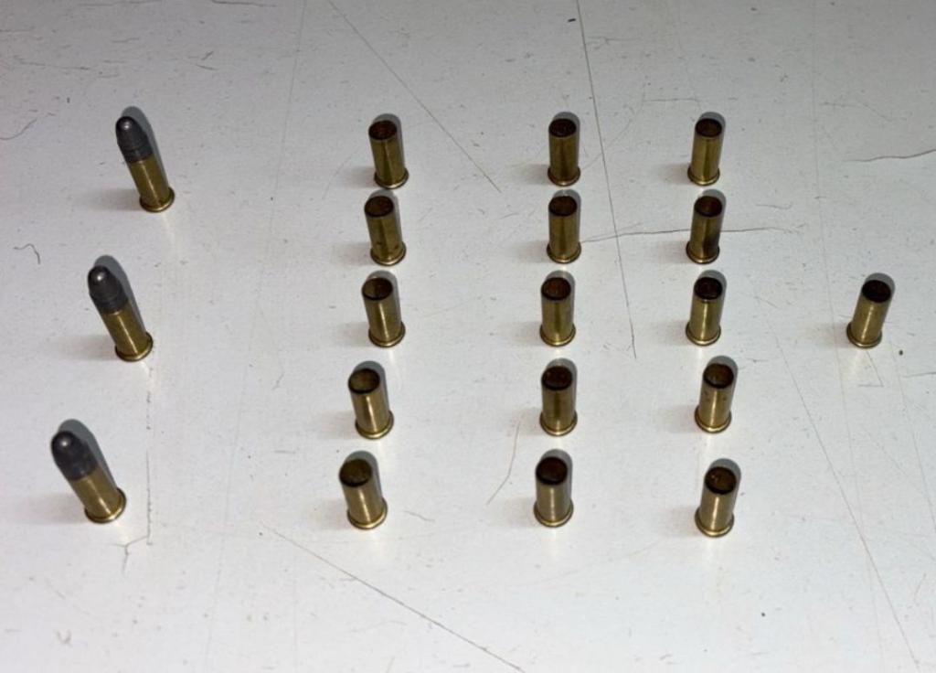 Homem investigado por violência doméstica é preso com munições...