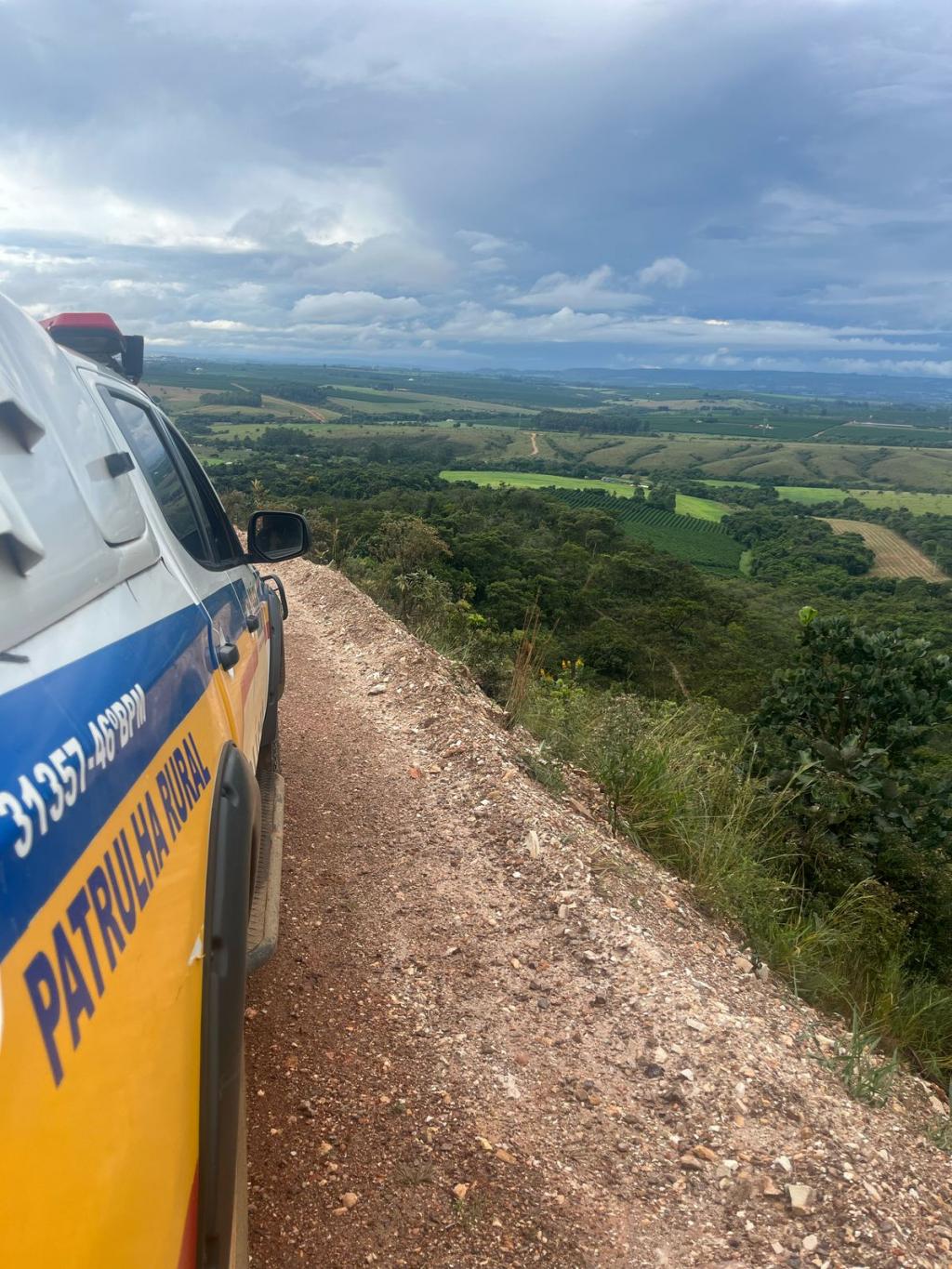Ladrões invadem fazenda e furtam vaca avaliada em R$...