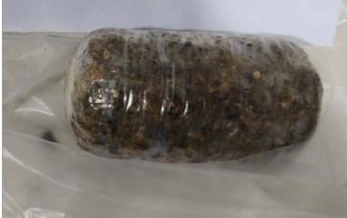 Imagem 1 do post Mulheres escondem drogas e celulares nas partes íntimas para entrar na Penitenciária de Patrocínio, mas acabam detidas