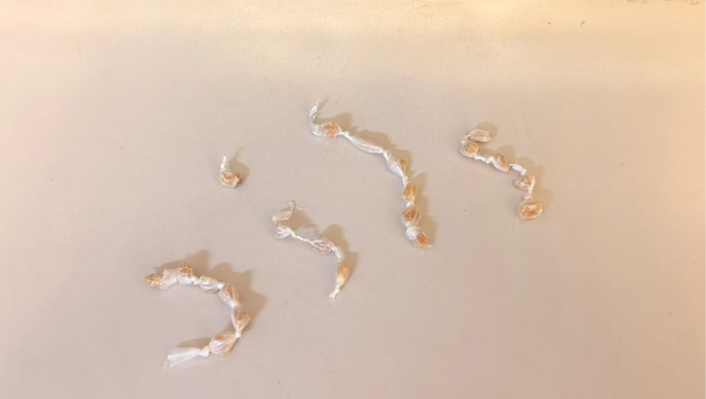 Homem é preso por suspeita de tráfico de drogas...