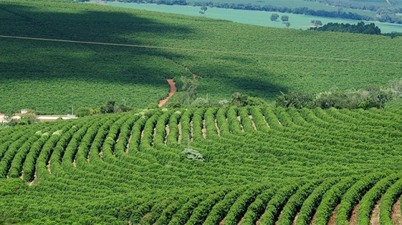 PIB de Minas cresce 1,1% no 3º trimestre e agropecuária puxa resultado