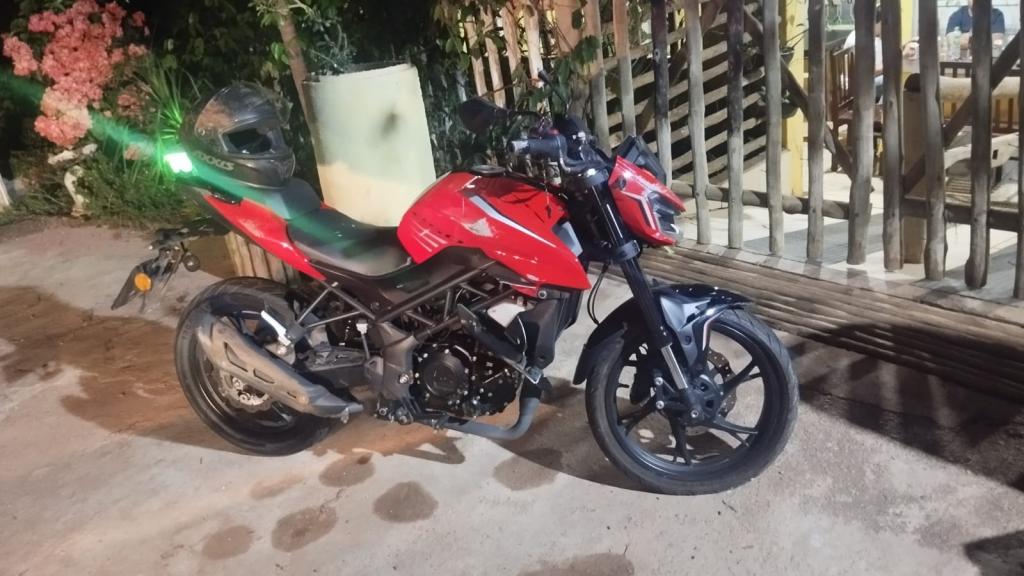 Motociclista fica ferido após colidir com bovino na MG-188,...