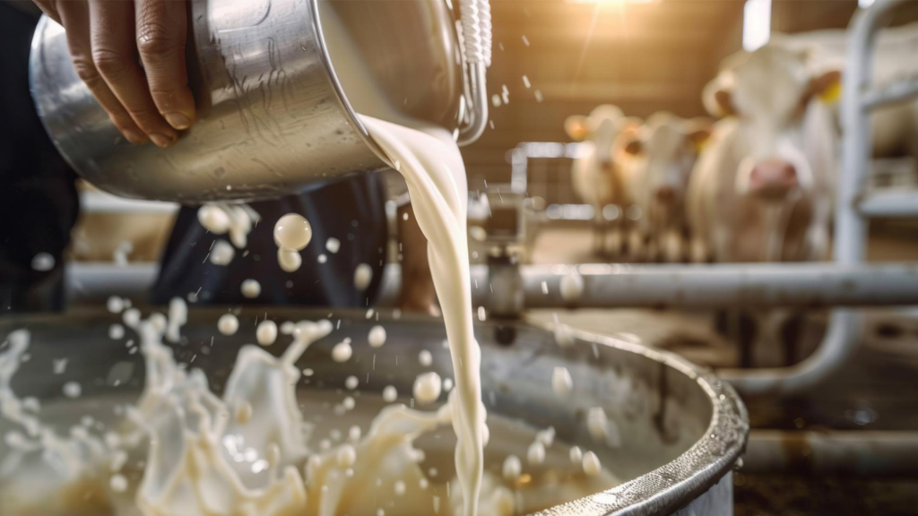 Hospital do Câncer de Patrocínio inicia campanha de arrecadação de leite na Sexta-feira Santa