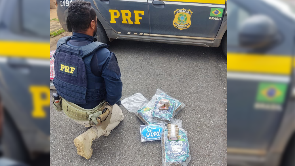 PRF prende passageiro com drogas em ônibus na BR-365, em Patos de Minas