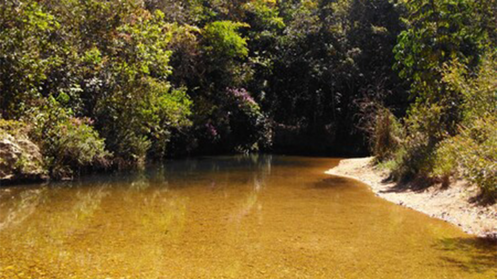 Projeto prevê ações para segurança hídrica na bacia do córrego Feio em Patrocínio